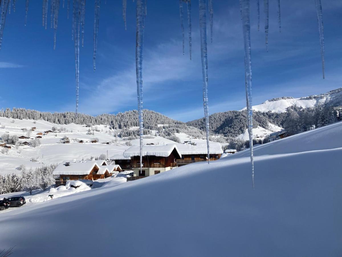 Chalets Savoie Les Chalets D'Heidi Notre-Dame-de-Bellecombe Luaran gambar