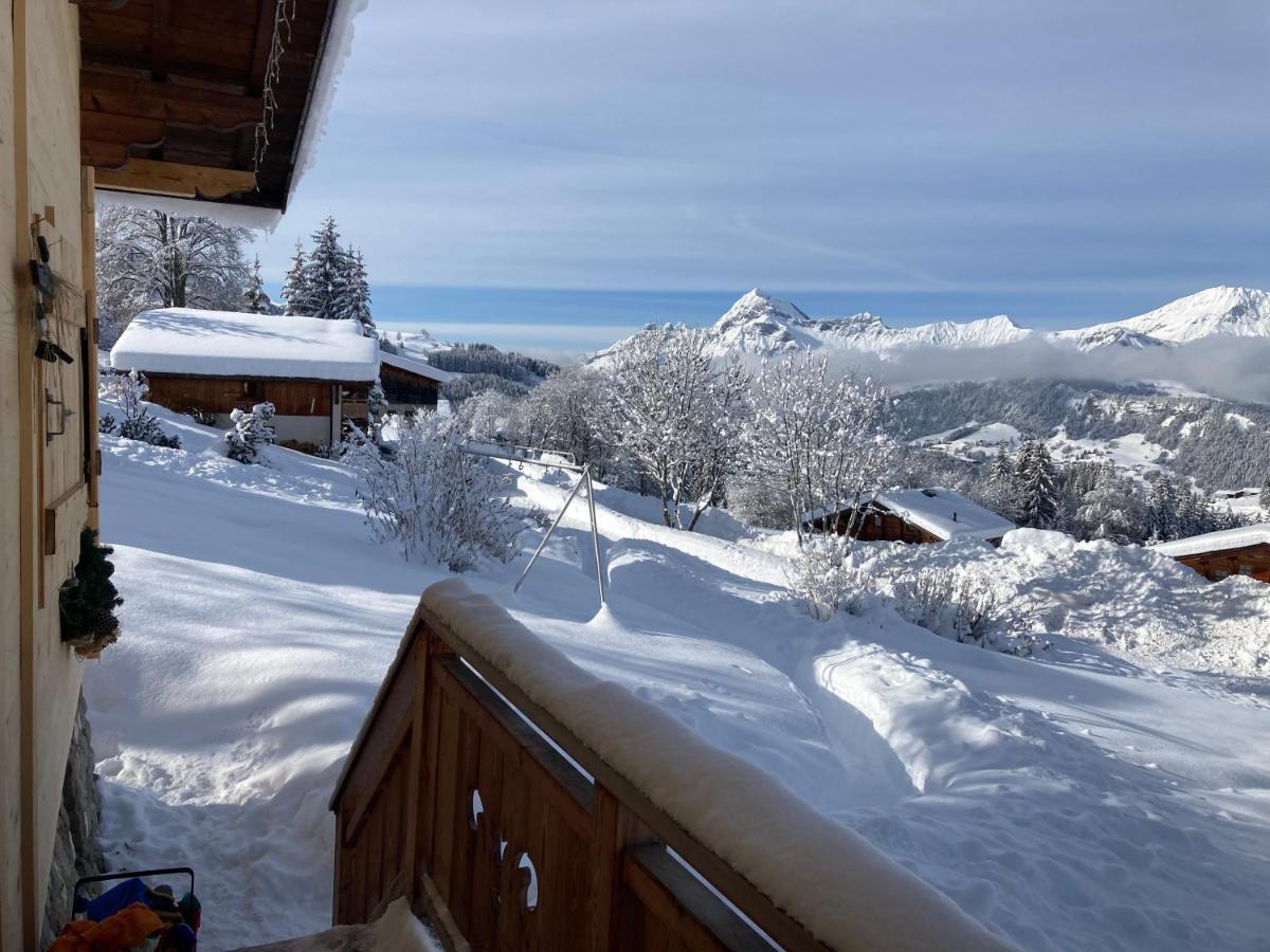 Chalets Savoie Les Chalets D'Heidi Notre-Dame-de-Bellecombe Luaran gambar