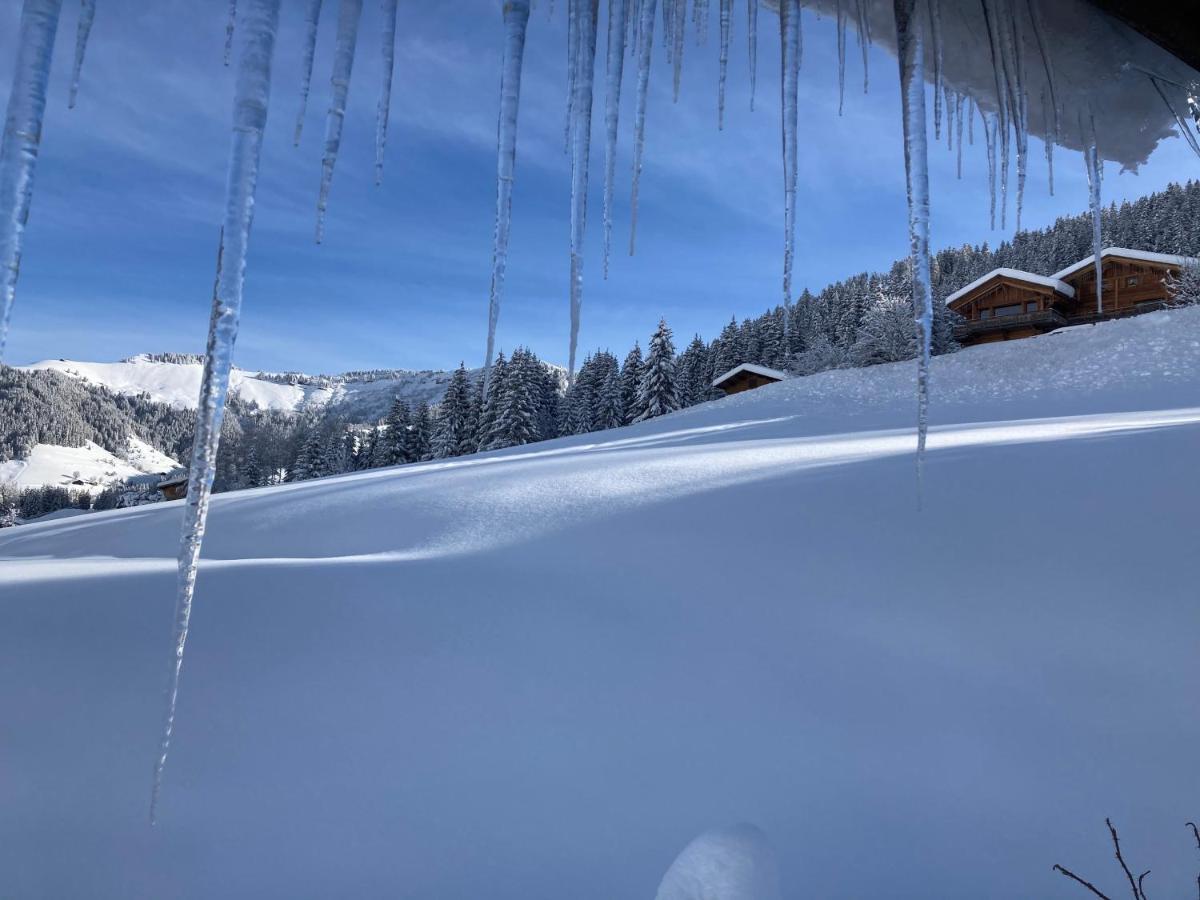 Chalets Savoie Les Chalets D'Heidi Notre-Dame-de-Bellecombe Luaran gambar