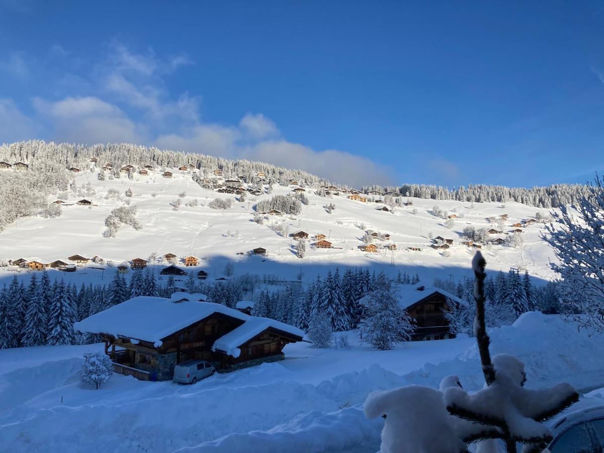 Chalets Savoie Les Chalets D'Heidi Notre-Dame-de-Bellecombe Luaran gambar