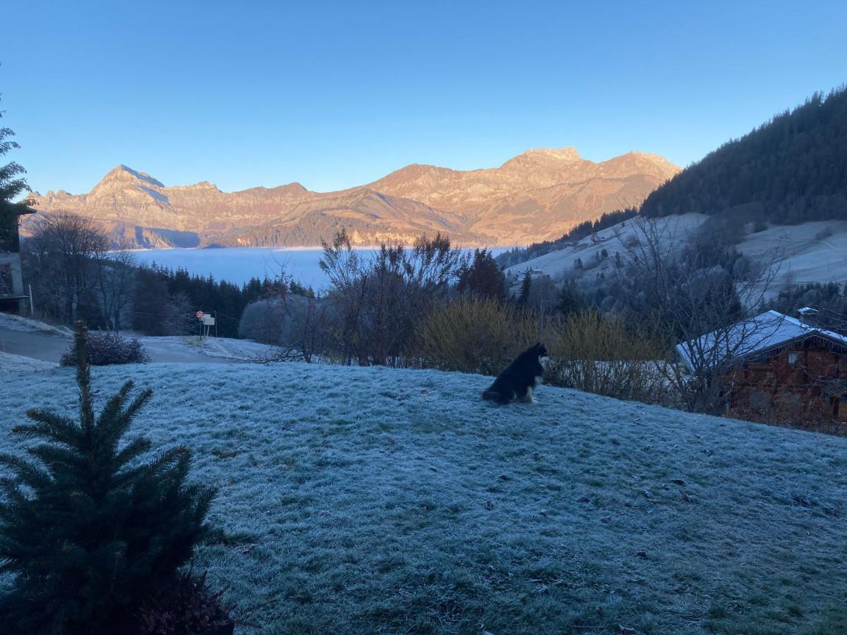 Chalets Savoie Les Chalets D'Heidi Notre-Dame-de-Bellecombe Luaran gambar