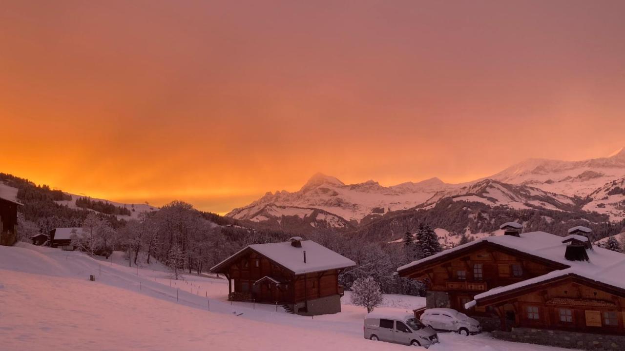 Chalets Savoie Les Chalets D'Heidi Notre-Dame-de-Bellecombe Luaran gambar