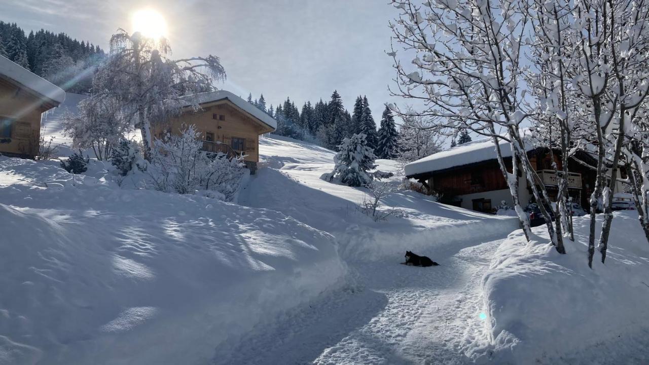 Chalets Savoie Les Chalets D'Heidi Notre-Dame-de-Bellecombe Luaran gambar
