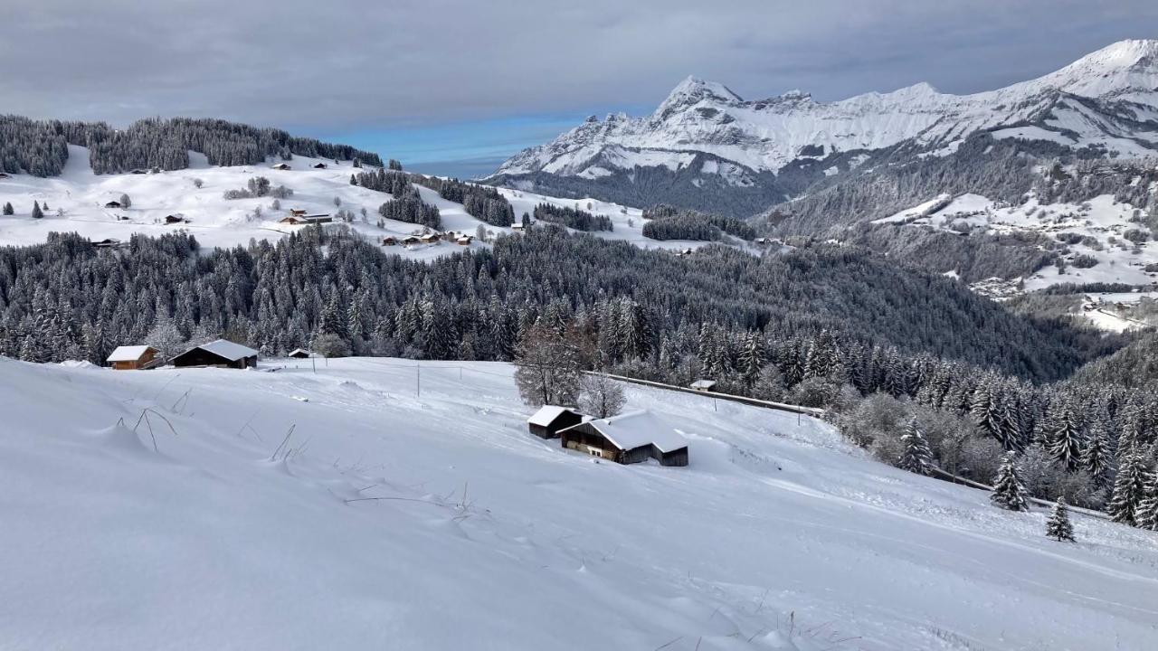 Chalets Savoie Les Chalets D'Heidi Notre-Dame-de-Bellecombe Luaran gambar