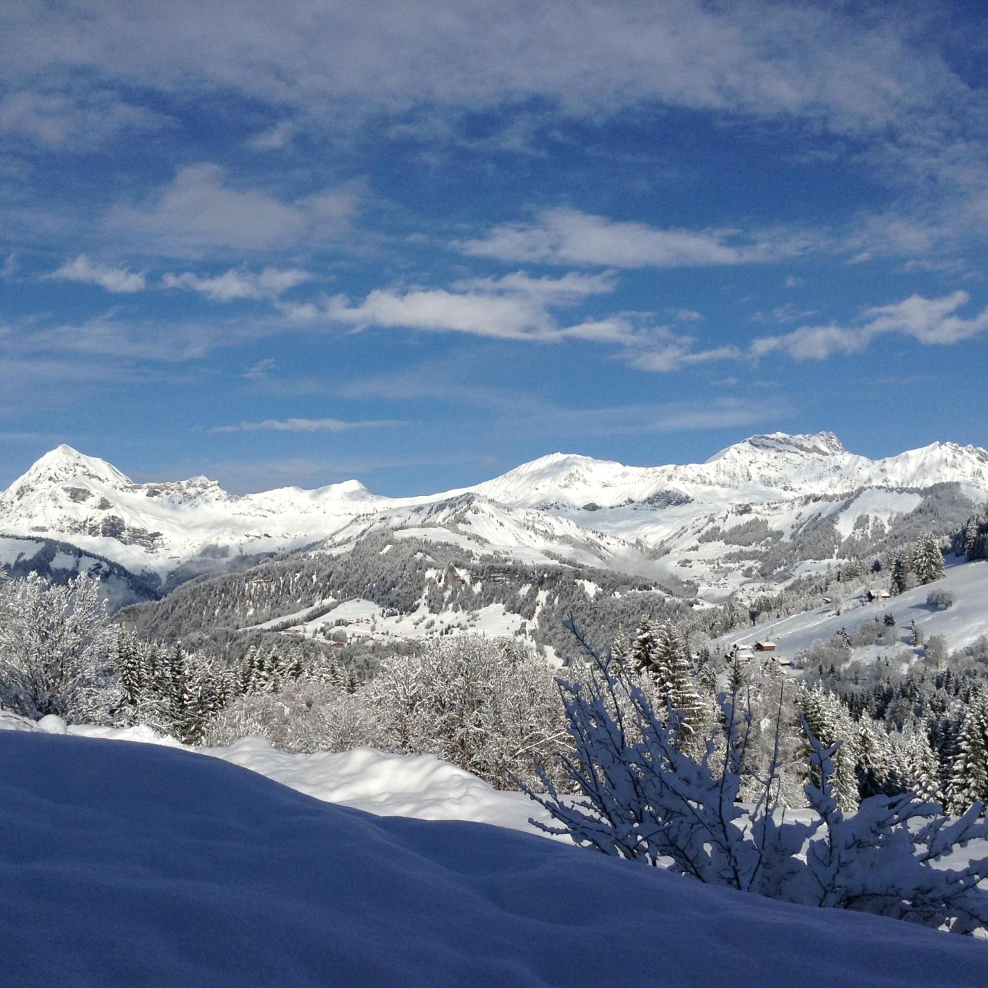 Chalets Savoie Les Chalets D'Heidi Notre-Dame-de-Bellecombe Luaran gambar