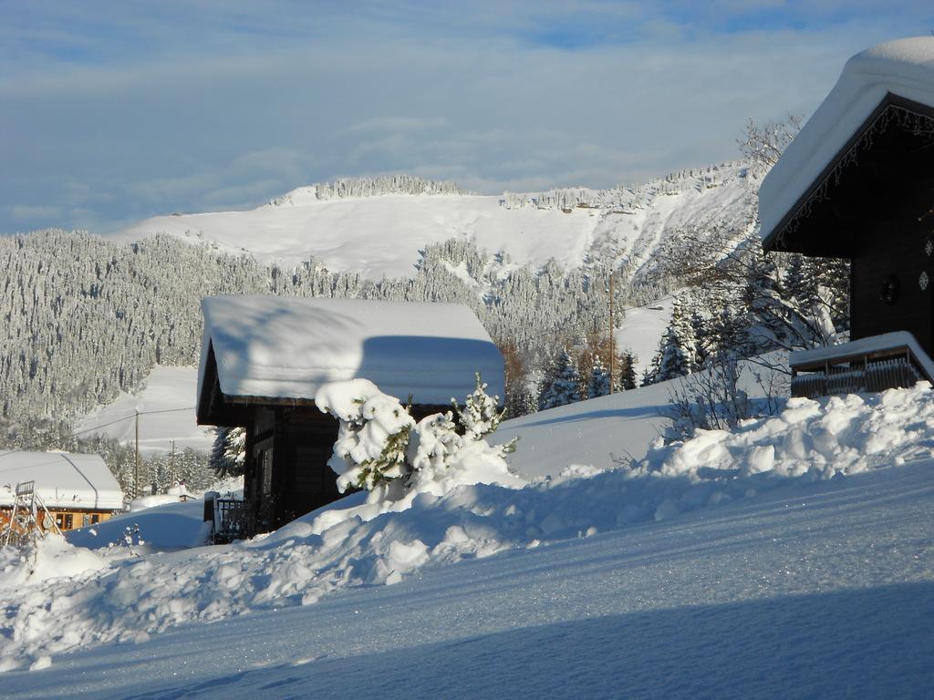 Chalets Savoie Les Chalets D'Heidi Notre-Dame-de-Bellecombe Luaran gambar